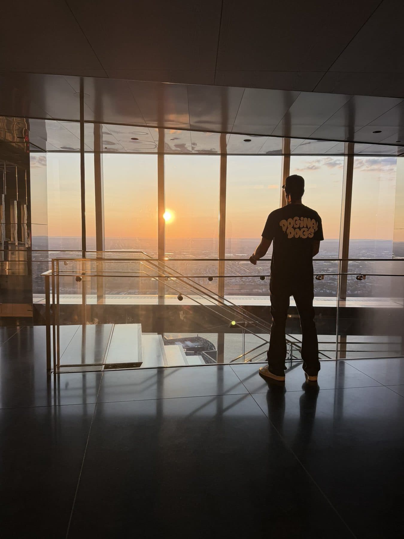 David Chaboki (Shibo / GodsBurnt) overlooking a city skyline at sunset wearing a Doginal Dogs shirt